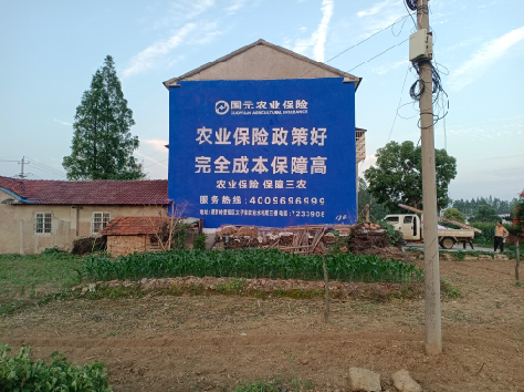 新昌墙体广告为何受追捧？