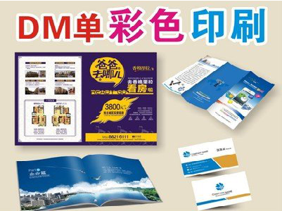 新昌单页印刷,色彩搭配简单。
